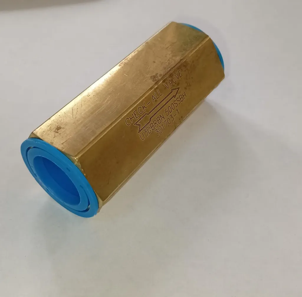[C02-1204] Válvula de Check de 3/4"